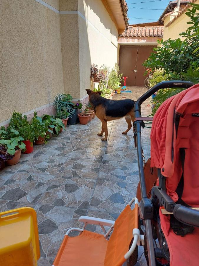 Kodra Bed & Breakfast
